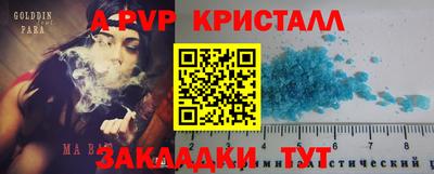 гидра Нальчик