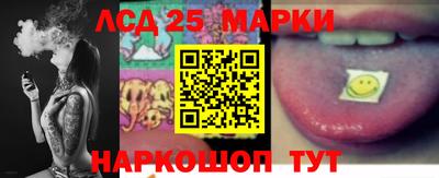 гидра Нальчик