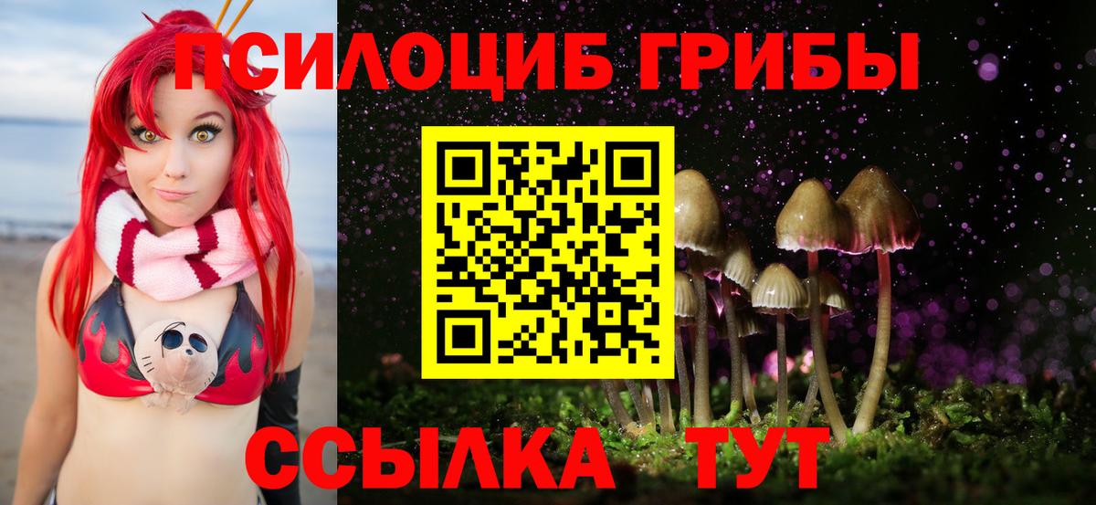Галлюциногенные грибы прущие грибы Среднеуральск
