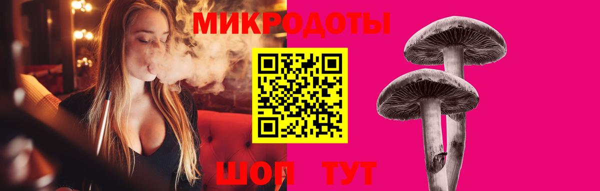 Галлюциногенные грибы Psilocybe  Вход с VPN  Среднеуральск 